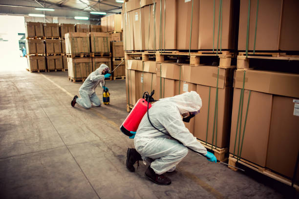 Best Emergency Pest Control  in Seabrook Island, SC
