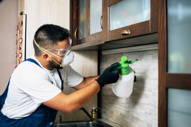 Best Pest Prevention Services  in Seabrook Island, SC