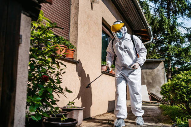 Best Local Pest Control Services  in Seabrook Island, SC