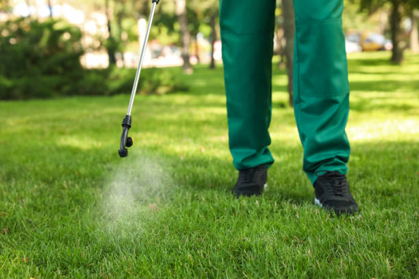 Best Wildlife Control Services  in Seabrook Island, SC