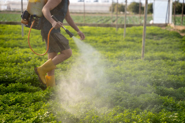Best Pest Removal Services  in Seabrook Island, SC