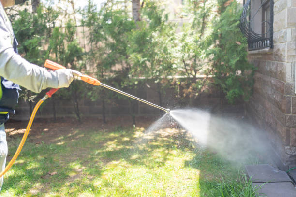 Best Flea Control Services  in Seabrook Island, SC
