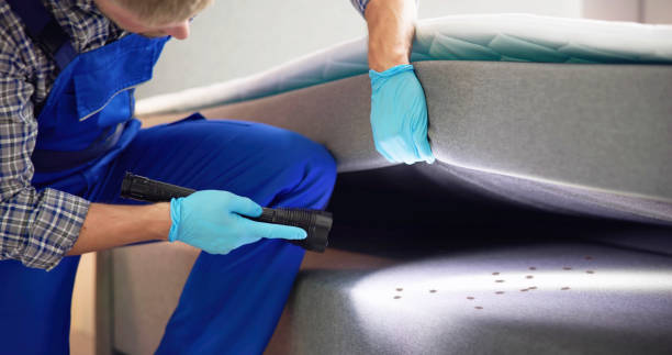 Professional Pest Control in Seabrook Island, SC