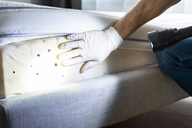 Best Pest Prevention Services  in Seabrook Island, SC