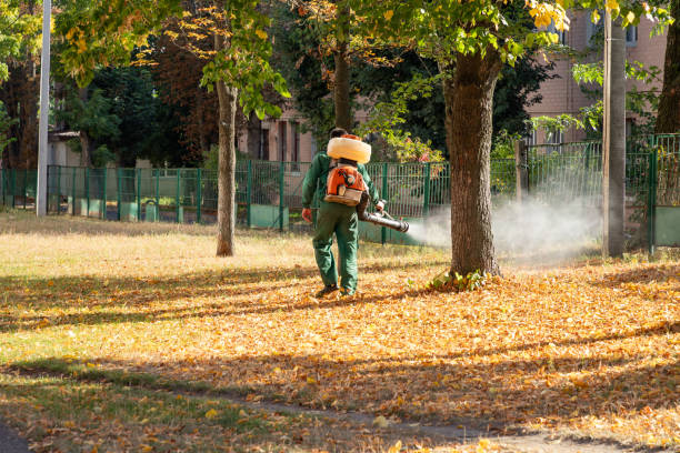 Best Residential Pest Control  in Seabrook Island, SC