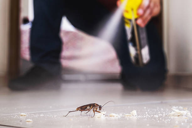 Best Cockroach Control Services  in Seabrook Island, SC