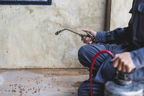 Best Best Pest Control Companies  in Seabrook Island, SC