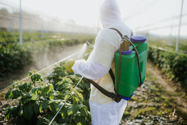 Best Exterminator Services  in Seabrook Island, SC
